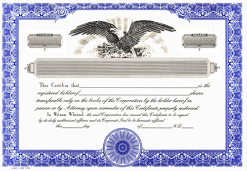 Goes 21 Company Stock Certificate, Blank Stock Certificates for Corporation, Size 8-1/2 inch x 15 inch, Printable, Laser or Ink Jet Compatiable (Pack